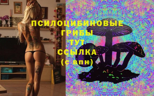 герыч Кизел