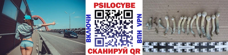 сколько стоит  Гурьевск  Псилоцибиновые грибы GOLDEN TEACHER 