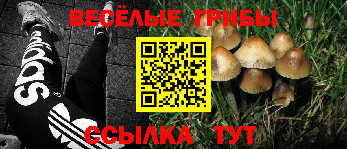 Галлюциногенные грибы Magic Shrooms Гурьевск