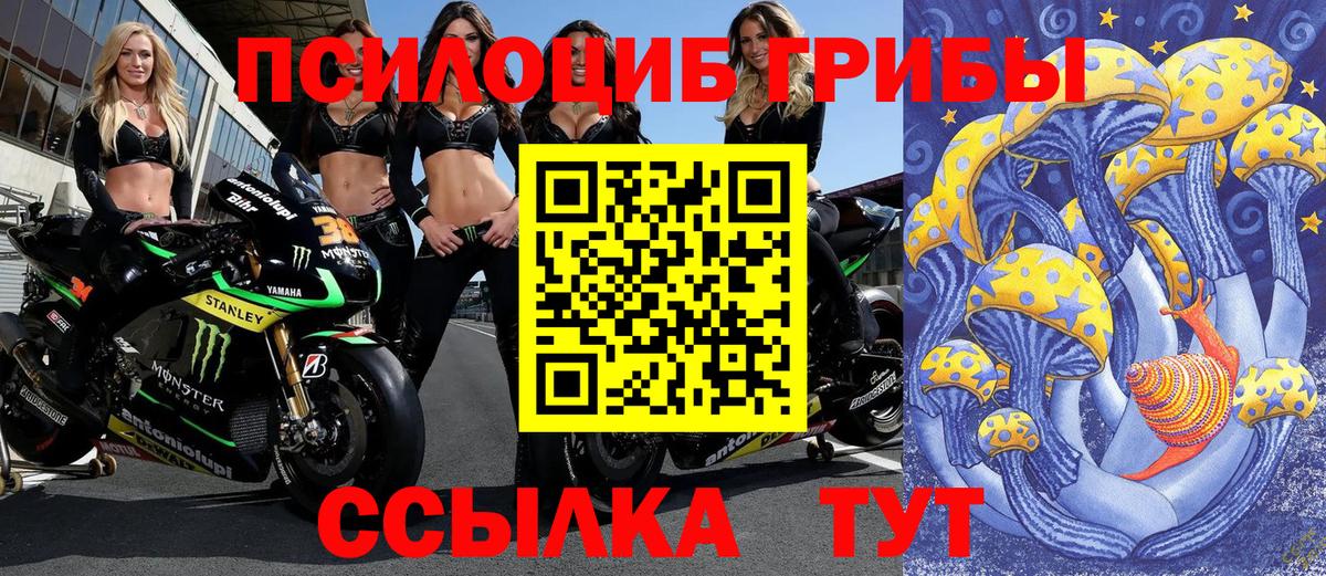Галлюциногенные грибы прущие грибы Гурьевск