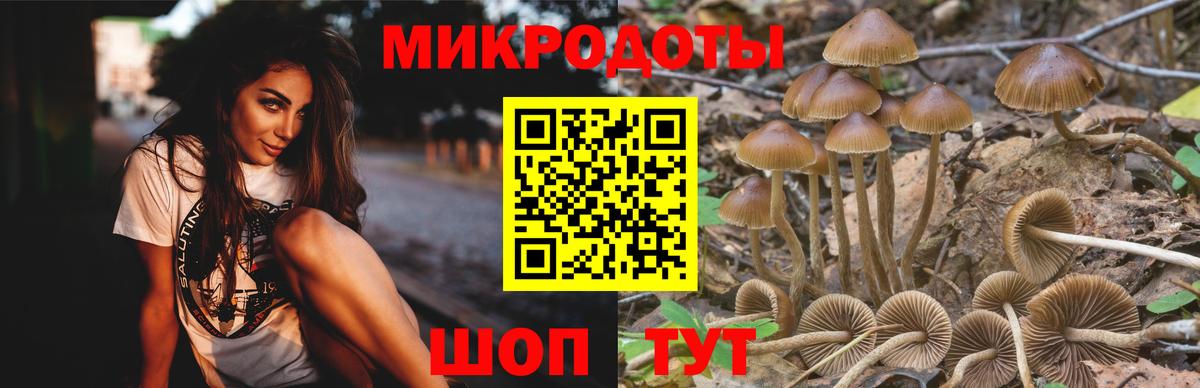 Гурьевск  Псилоцибиновые грибы Psilocybine cubensis  Вход с VPN  Галлюциногенные грибы Magic Shrooms 