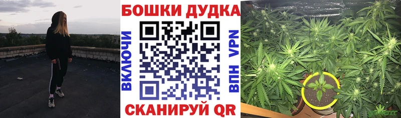 даркнет сайт  Гурьевск  Шишки марихуана SATIVA & INDICA 